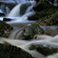 Nature3_thumb